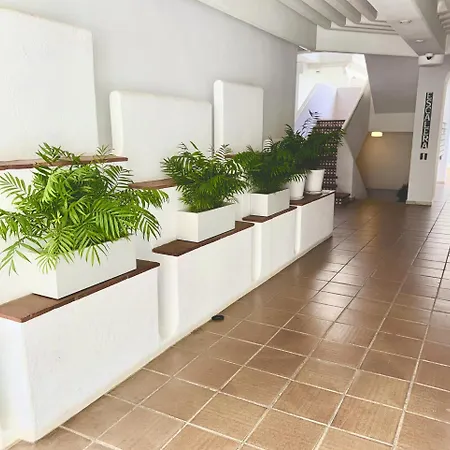Apartment En Puerto Banus Jardines Tropicales1 *